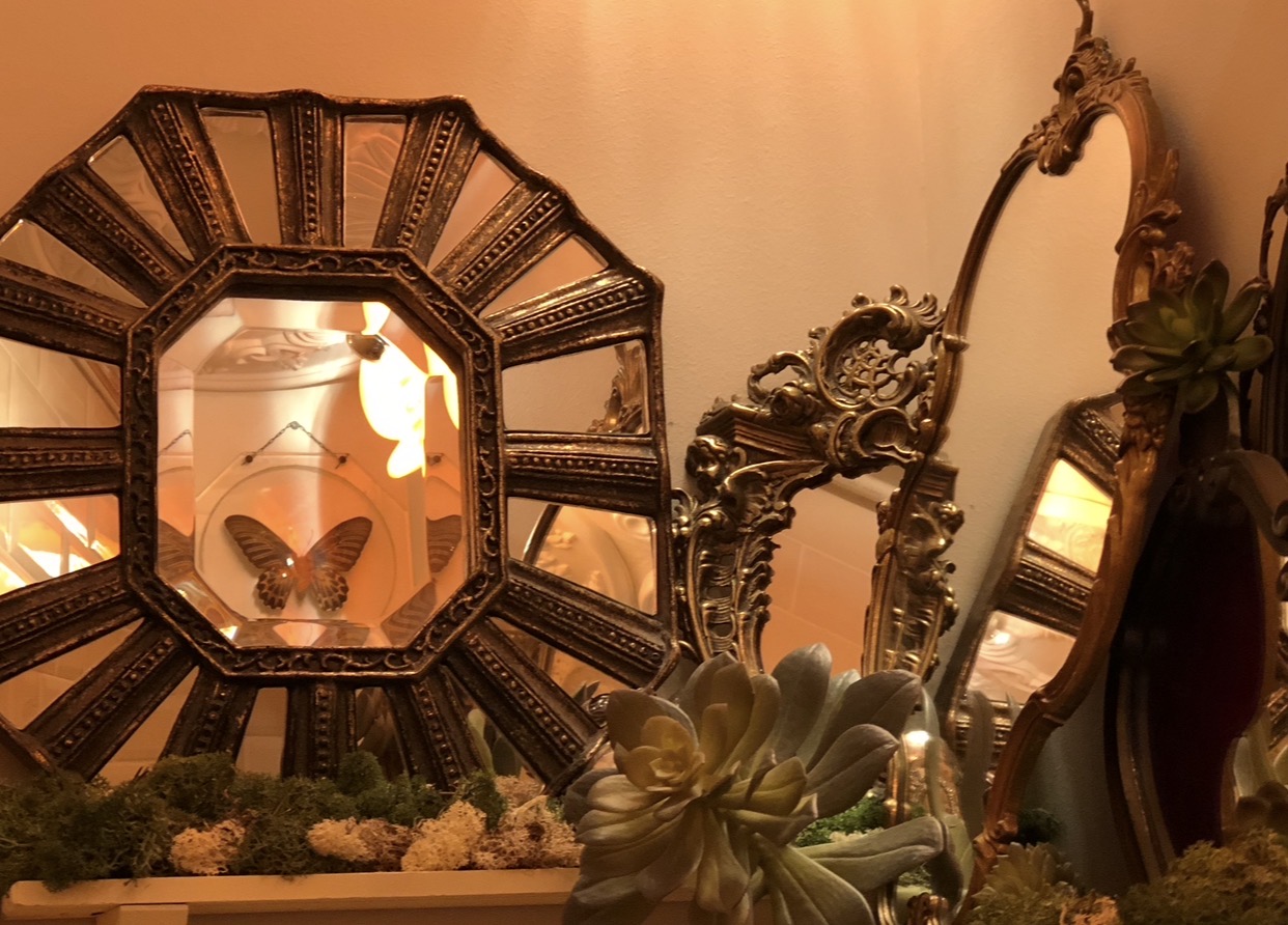 Miroirs anciens et papillon, décor de l'institut