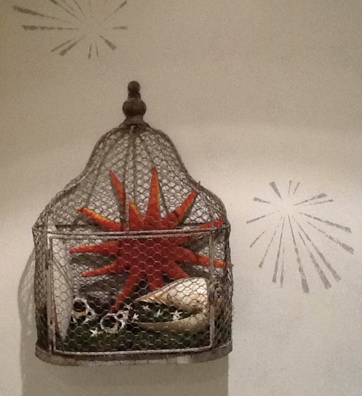Cage décorative avec étoile de mer et coquillages